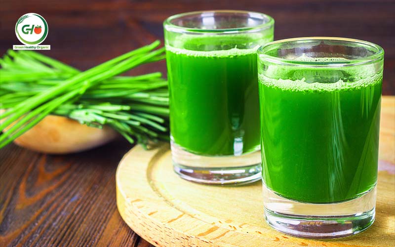 Lợi ích của cỏ lúa mì cho vật nuôi